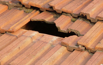 roof repair Westerdale