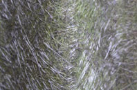 Westerdale fibreglass roof work